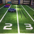 New Design Gym Artificial Grass Synthetic Turf